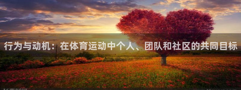 64体育：行为与动机：在体育运动中个人、团队和社区的共同目标