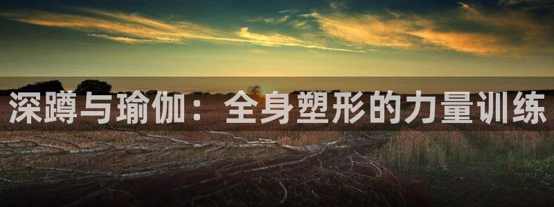 64体育：深蹲与瑜伽：全身塑形的力量训练