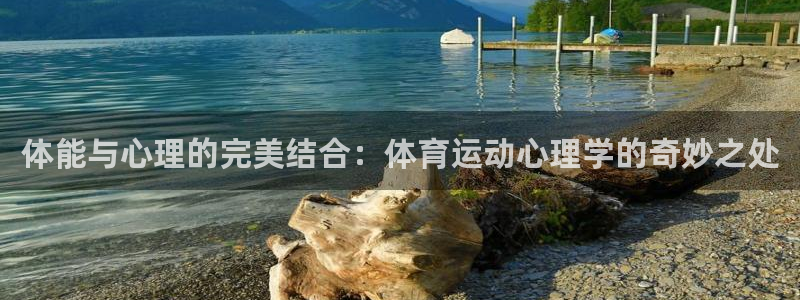 64体育：体能与心理的完美结合：体育运动心理学的奇妙之处
