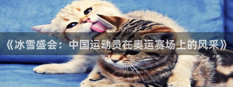 64体育：《冰雪盛会：中国运动员在奥运赛场上的风采》