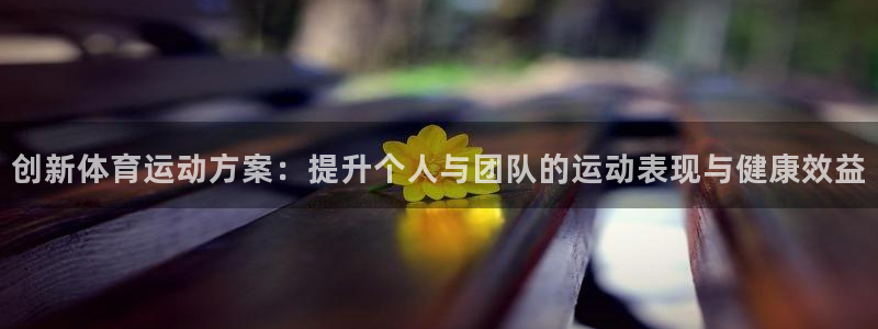 64体育：创新体育运动方案：提升个人与团队的运动表现与健康效益